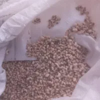 لوبیا چشم بلبلی ترو تمیز