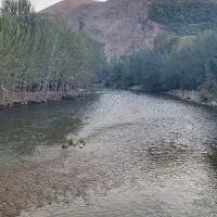 استخدام نیروی کار