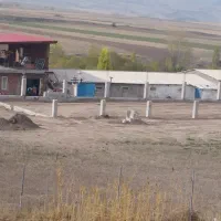 اجاره ۱۰۰۰ متری مرغداری|اجارهٔ دفتر صنعتی، کشاورزی، تجاری|ثمرین, |دیوار