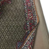 قالیچه دستبافت|فرش|قم, دانش|دیوار