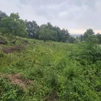 زمین کوهستانی/۳۶۰متر مسکونی/خوش نقشه