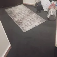 موکت نو نو