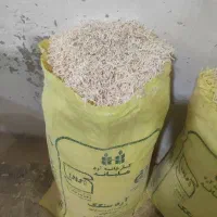 پوشال چوب