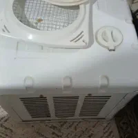 کولرابی