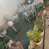 اجاره سوعییت|اجارهٔ کوتاه‌مدت آپارتمان و سوئیت|آمل, |دیوار