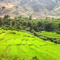 نیازمند کارگر برای کارگاه تیرچه بلوکی