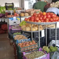 فروشنده خانم.کارگر ساده مرد
