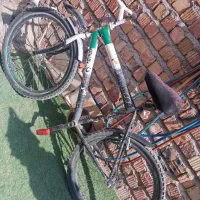 دوچرخه|دوچرخه، اسکیت، اسکوتر|ایرانشهر, |دیوار