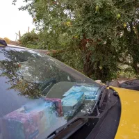 سمند EF7مدل ۹۶ ویژه ترمینال|خودرو سواری و وانت|بردسیر, |دیوار