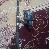 لنسر ماهی گیری|ماهیگیری|اندیمشک, |دیوار