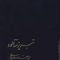 تبریز مه‌آلود جلد۲