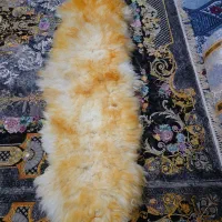 خز۲۵ستاره اورجینال