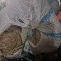 یک گونی بند