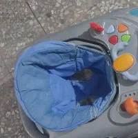 روررک کودک سالم