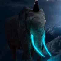 سیم کارت رند