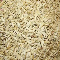 دفتر کشاورزی