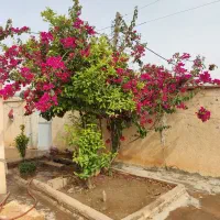 اجاره خانه ویلایی ۲۰۰ متری ۴ خوابه