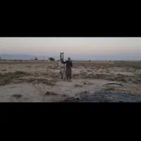 اسب|اسب و تجهیزات اسب‌سواری|داراب, |دیوار