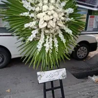 تاج گل سبد گل مراسم مستقیم از گلخانه تحویل فوری|گل و گیاه طبیعی|مشهد, سناباد|دیوار