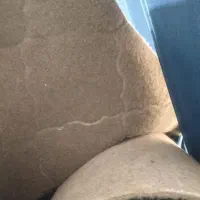 گلیم فرش وموکت|فرش|فاضل آباد, |دیوار