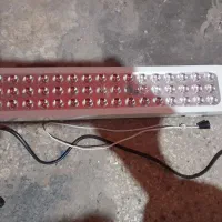 مهتابی