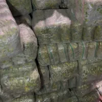 پخش باقالی نخود ذرت مخلوط