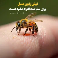 عسل کلی جزئی|خوردنی و آشامیدنی|مشهد, گلبرگ شمالی|دیوار