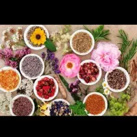 اموزش رایگان و درلمد عالی