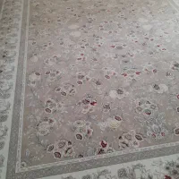 دو تا فرش ۱۲ متری نگین مشهد ۱۲۰۰ شانه قابل معاوضه