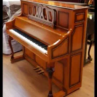 پیا)*نو لند (حافظیه)