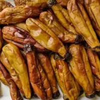 محصولات خانگی سبزی خشک و تازه|خوردنی و آشامیدنی|شیراز, عادل آباد|دیوار