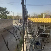 حفاظ روی دیوار در مشهد و گلبهار|خدمات پیشه و مهارت|مشهد, توس (بلوار توس)|دیوار