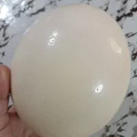 پوکه تخم شتر مرغ