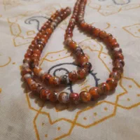 تذبیح ساندلوس چشم بلبلی