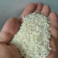 برنج نیمدانه و درشت صدری زرد دم