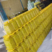 زیتون منجیل
