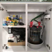 آکواریوم|ماهی|قم, شهدا|دیوار