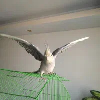 مقداری لوازم شخصی و مازاد بفروش میرسد|حراج|زنجان, |دیوار