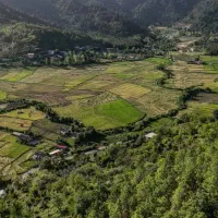 20000متر-زمین-مخصوص-شهرک-سازی-اقامتگاه-لیسار