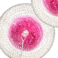 تور چراغ گازی