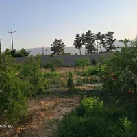 فروش زمین ۲۲۵۰ متری در بید زرد|فروش زمین و ملک کلنگی|شیراز, بید زرد|دیوار