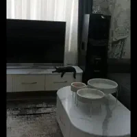 پرده حریر شاین|پرده، رانر، رومیزی|باقرشهر, |دیوار