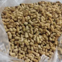 چایی به وشیره توت  وتوت خشک امساله