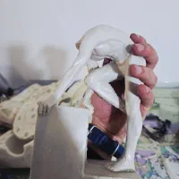 تولید و احداث کارگاه با کسب درآمد تضمینی