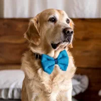 قلاده مدل پاپیون سگ نیناپت در طرح های مختلف