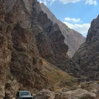 طبیعت گردی