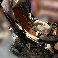 کالسکه دلیجان