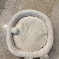 جا خواب گربه وسگ