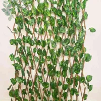 فنس برگی ریحان پرتقالی رشته ای آکاردئونی دیوارسبز