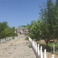 ماسه وشن واجر